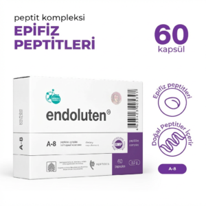 Endoluten A-8 Epifiz Bezi ve Gençlik Hormonu